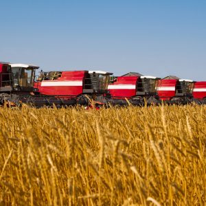 500e34f3d249541d69b8a9ecc6117642b323b929