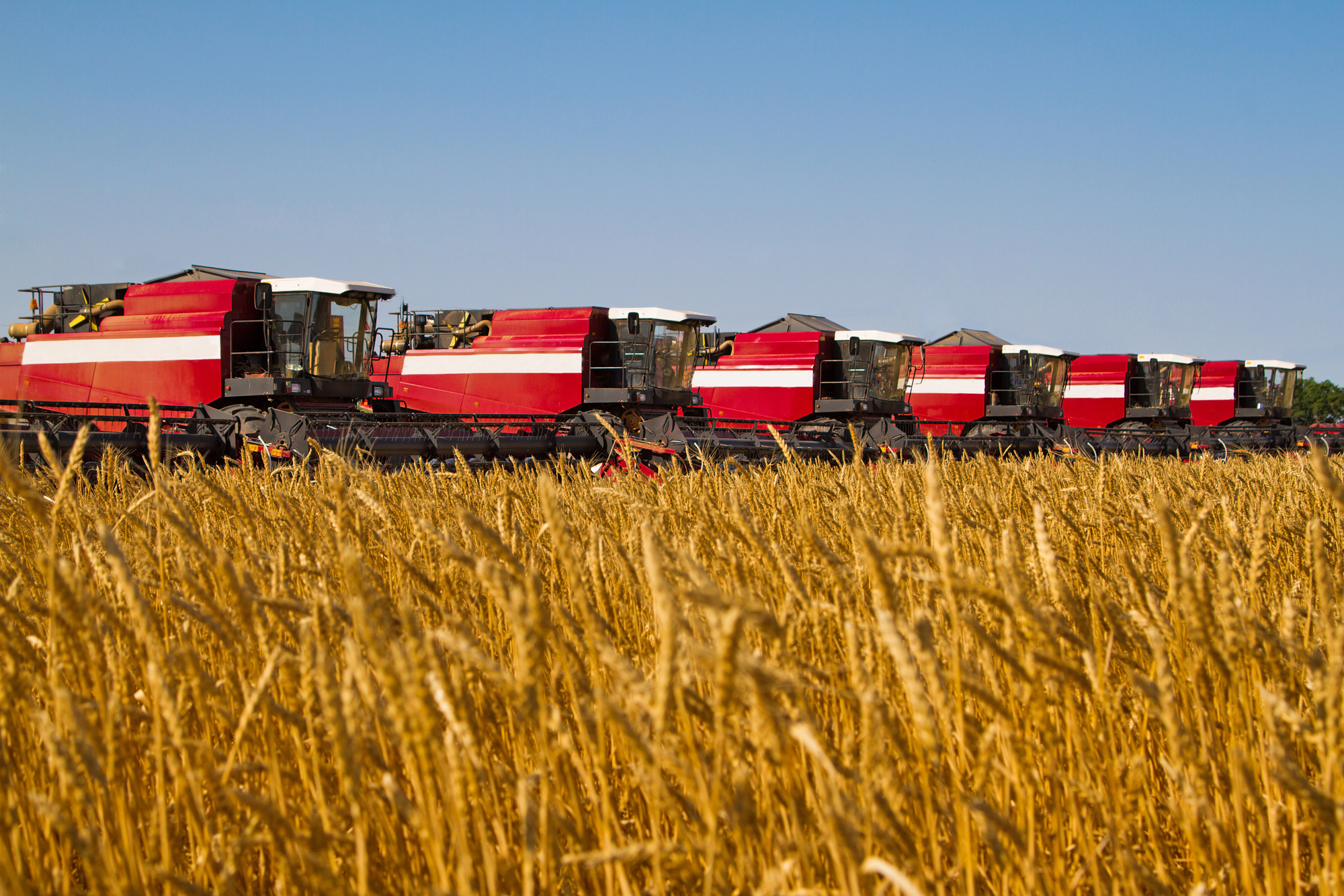 500e34f3d249541d69b8a9ecc6117642b323b929