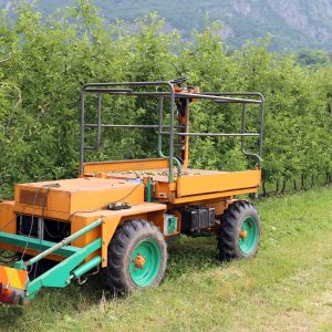 797671212383f969fb65faad44ea8794638dbeaa (1)