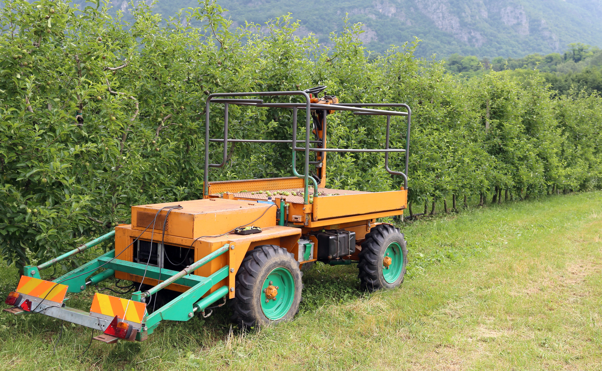 797671212383f969fb65faad44ea8794638dbeaa (1)